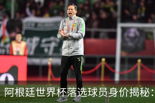 阿根廷世界杯落选球员身价揭秘：谁才是价值最高的遗珠？
