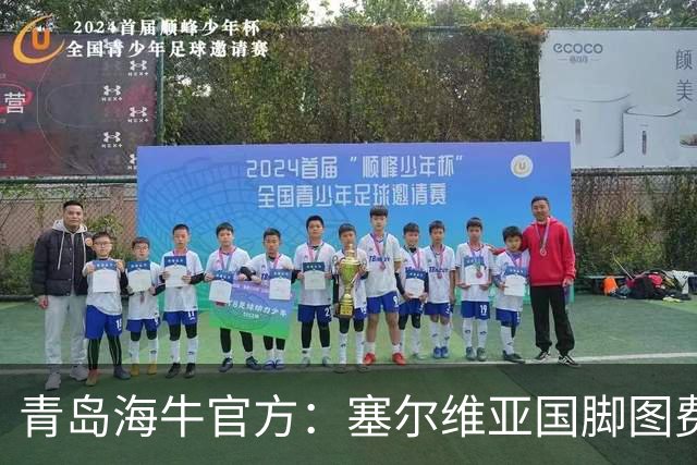 青岛海牛官方：塞尔维亚国脚图费格季奇加盟球队